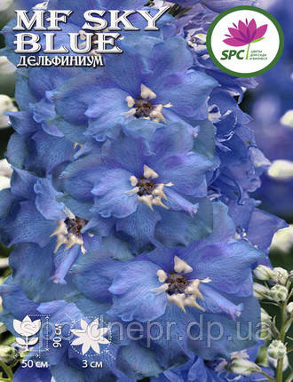 Дельфініум MF Sky Blue