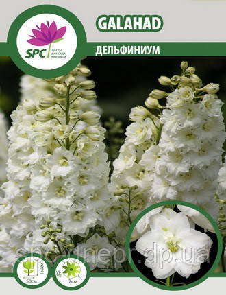 Дельфініум Galahad