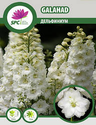 Дельфініум Galahad