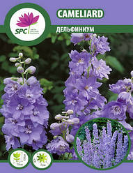 Дельфініум Cameliard