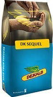 Семена Рапса " DK Sequel " ( Dekalb )