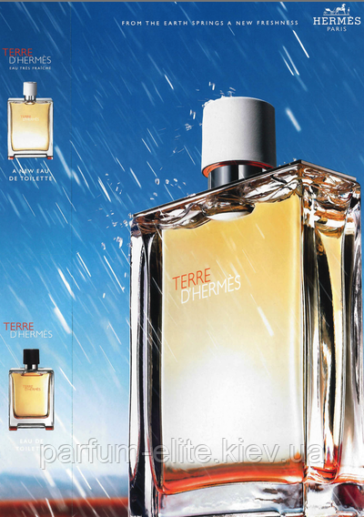 Мужская туалетная вода Hermes Terre d'Hermes Eau Tres Fraiche 125ml - фото 2 - id-p59218206