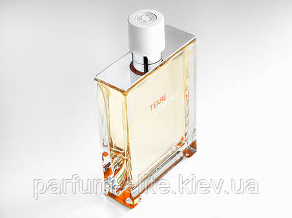 Hermes Terre d Hermes Eau Tres Fraiche 125ml ID 59218206 1600 Prom.ua