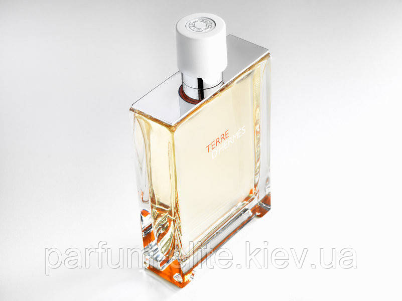 Мужская туалетная вода Hermes Terre d'Hermes Eau Tres Fraiche 125ml - фото 5 - id-p59218206