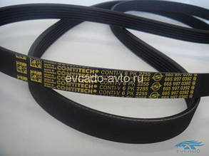 Ремінь приводу Actyon, Kyron, Rexton, Rodius 6PK2255 (6659970392) Ssang Yong