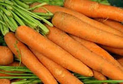 Насіння моркви Болеро F1 100000 насіння, Hazera