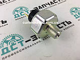 Датчик тиску масла на Cummins B3.3 6732-81-3140, фото 3