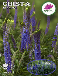 Вероніка Christa