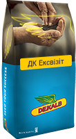 Насіння Рапса ДК Ексквізит "DK EXQUISITE" ( Dekalb)