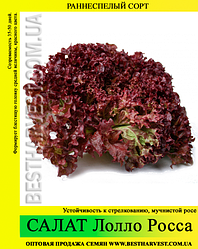 Насіння салату «Лолло Росса» 100 г