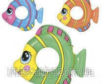 BW Круг 36111 рибка, 3 кольори, 81-76 см