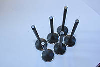 Клапан впускний і випускний для двигуна Cummins NT855