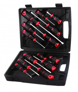 Набір викруток у пластиковому кейсі, 14 предметів T32798 AmPro