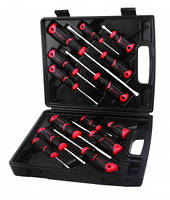 Набір викруток у пластиковому кейсі, 14 предметів T32798 AmPro