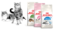 Корм «Royal Canin». Склад, аналіз, плюси і мінуси.