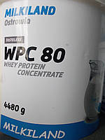 Протеин сывороточный Ostrowia WPC 80 ведерко 4,5 кг (Milkiland; Польша).