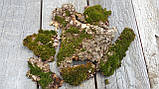 Кора дерева з мохом для декора, 6 шматочків, фото 3
