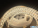 Світлодіодна стрічка RISHANG 2835/128 12Вт 24В IP33 10мм Нейтральний білий 4000К CRI80, фото 2