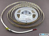 Світлодіодна стрічка RISHANG 2835/128 12Вт 24В IP33 10мм Нейтральний білий 4000К CRI80, фото 8