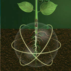 Протруйники