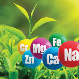 Мікроелементи