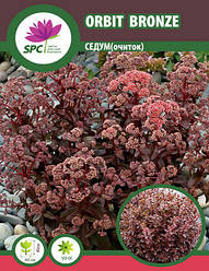 Очиток Orbit Bronze