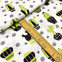 ΠΠΎΠ»ΡΡΡΠΊΠ° Π±ΡΠ·Ρ "ΠΊΠ°ΠΊΡΡΡΠΈ ΡΠ°Π»Π°ΡΠΎΠ²Ρ Π½Π° Π±ΡΠ»ΠΎΠΌΡ", ΡΠΎΡΠΎ 3