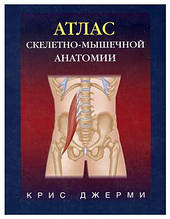 Атлас скелетно-м'язової анатомії. Кріс Джермі