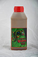 Organic Iguana Juice Bloom 1 литр