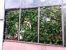 На раму окна крепим кабель-канал для электропроводки