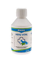 Canina Herz-Vital 100 мл-препарат для зміцнення серцево-судинної системи в котів і собак