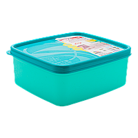 Бокс для морозильної камери 0,65 л вузький Alaska бірюзовий