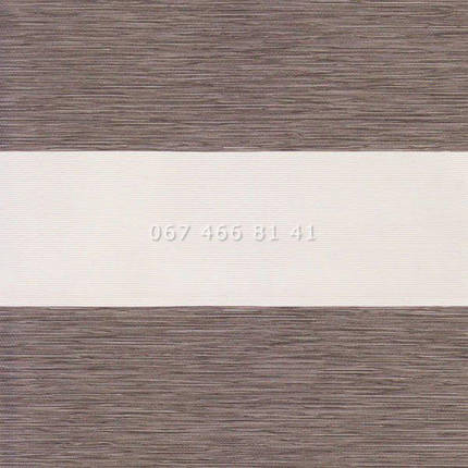 Тканинні ролети День-Ніч BH Plum 81-14, фото 1