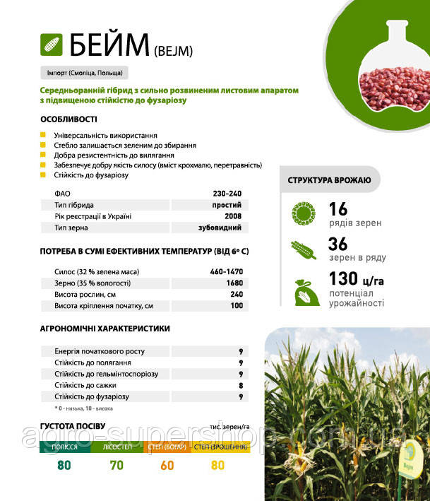 Насіння кукурудзи Кукурудза Бейм 50000 н.