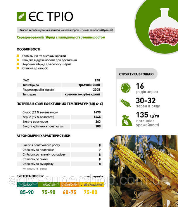 Семена кукурузы Кукурудза ЄС Тріо 80000 н.