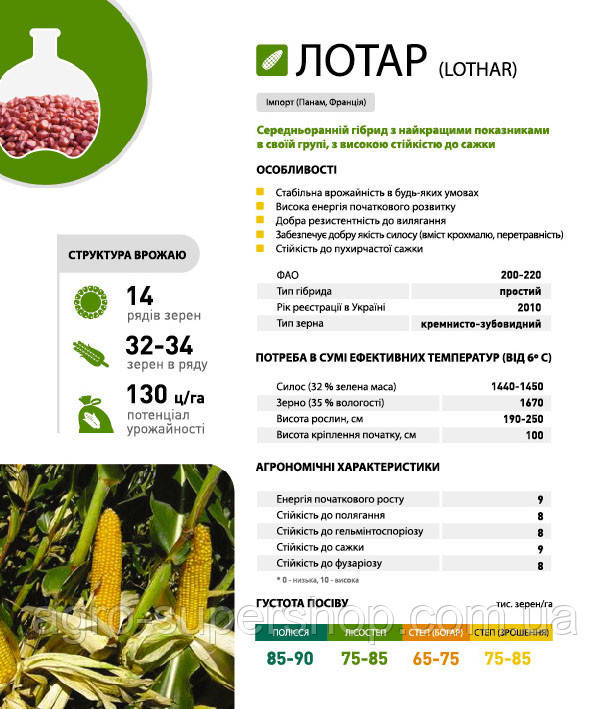 Насіння кукурудзи Кукурудза 5945 80000 н.