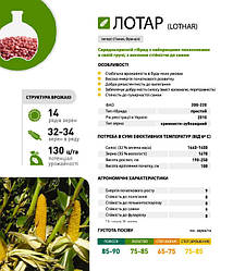 Насіння кукурудзи Кукурудза 5945 80000 н.