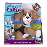 Зворотний цуценя Чарлі FurReal Friends англійською мовою/FurReal Chatty Charlie the Barkin' Beagle, фото 3