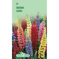 Сім’я Люпина багатоосвічений суміш 10 шт.