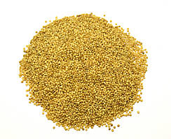 Насіння Амаранту 500 грам