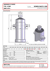 Гідроциліндр підйому кузова B DWR 6/1340/213-D=250-Grigio-Cuneo Binotto Італія