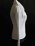 Жіночі блузи з довгим рукавом білого кольору., фото 5