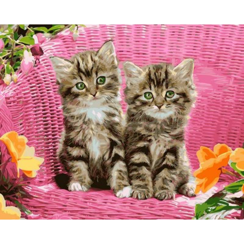 Живопис за номерами Зеленоокі кошенята VP932 Babylon Turbo 40 х 50 см, фото 1