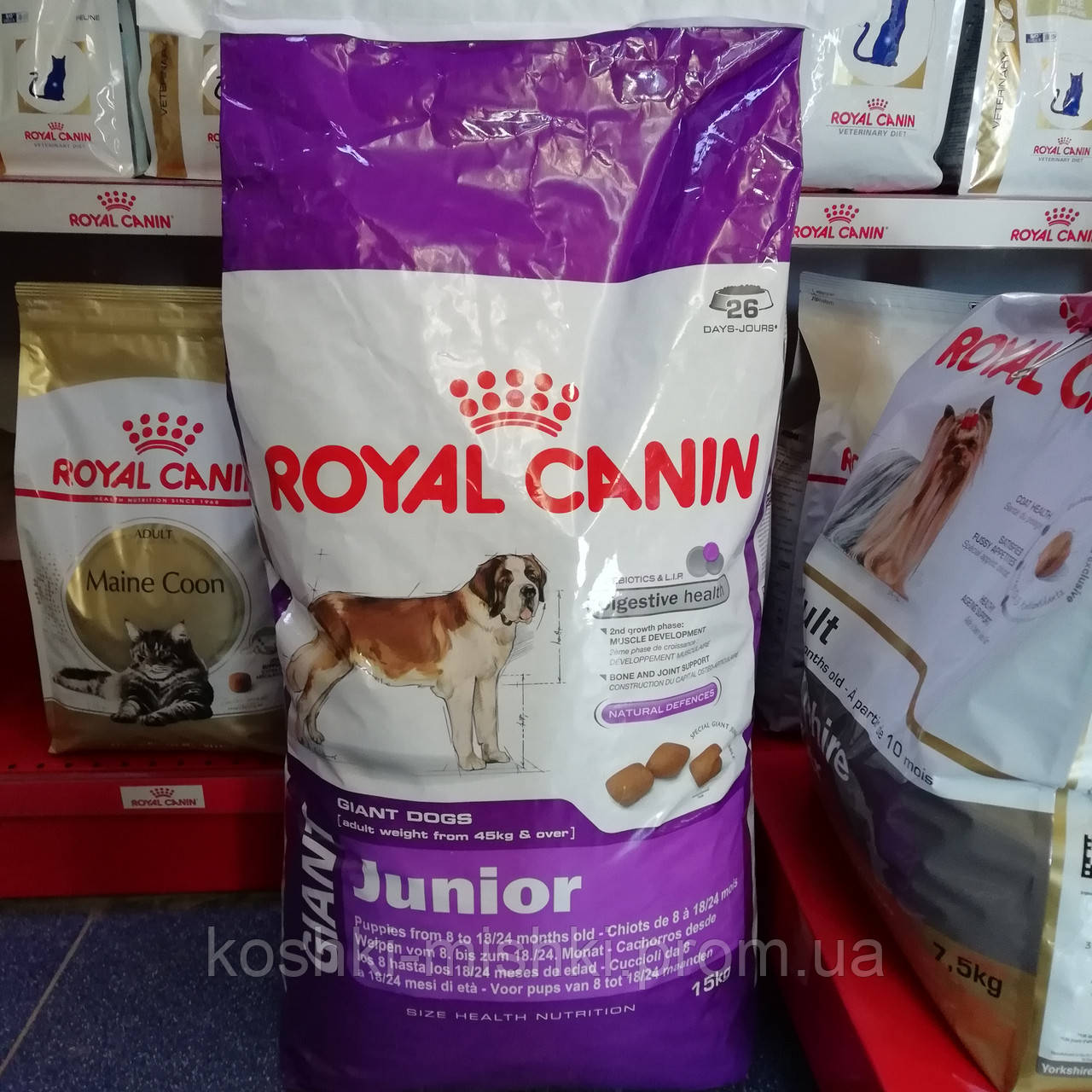 Royal Canin Giant Junior Корм Роял Канін для цуценят і собак великих порід, що підростають, 15 кг