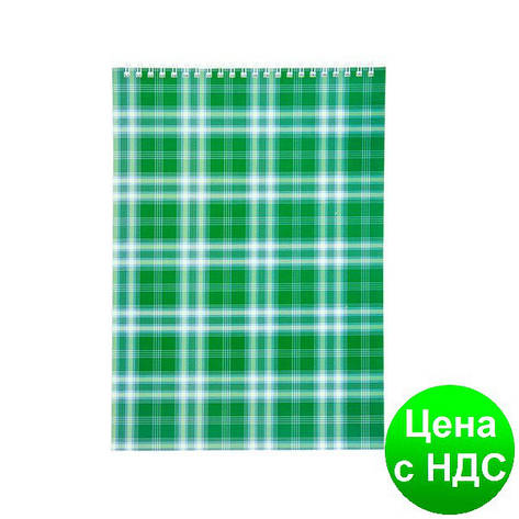 Блокнот на пружині, А4, 48 аркушів, "Shotlandka", клітинка, картонна обкладинка,зелений BM.2460-04, фото 2