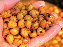 Тигровий горіх, тигровий горіх сухий XUFEX Испанія 2025р. 900 гр.