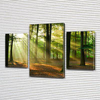 Модульные триптих картины, на ПВХ ткани, 45х70 см, (30x20-2/45x25)