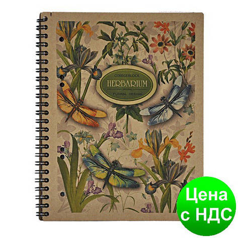 Зошит на пруж. KRAFT А5, 96 аркушів, кл., перфоров., отвір д/архів. BM.2418, фото 1