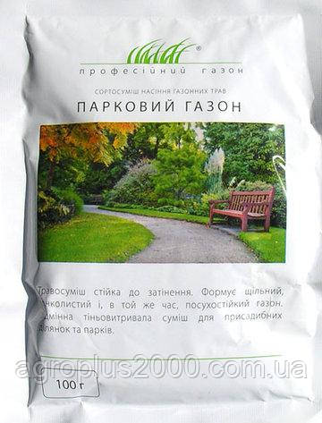 Насіння Газонна трава Паркова 100 грамів DLF Trifolium 