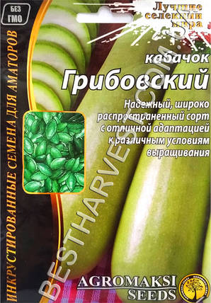 Насіння кабачка «Грибовський» 20 г, інкрустовані, фото 1